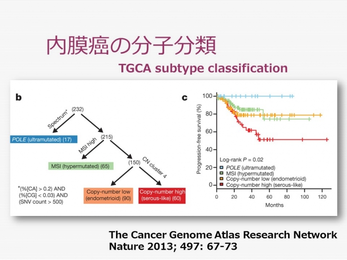 子宮内膜癌の分子遺伝学的分類 Molecular subtype ー TCGA Study