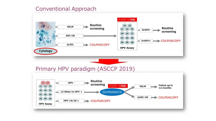 HPV検査単独法で細胞診はどう変わるかーバイオロジーと形態から考える